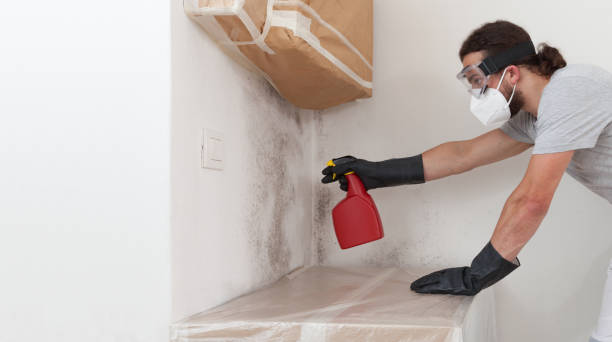 Professional Crawl Space Mold Remediation technician working in Wilmington, NC
