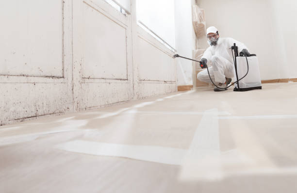 24/7 Emergency Crawl Space Mold Remediation experts in Wilmington, NC