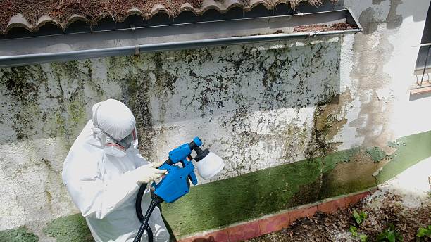 Top rated local Crawl Space Mold Remediation specialists in Wilmington, NC
